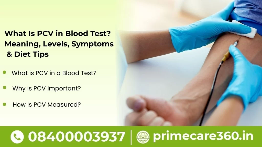 what is pcv in blood test​